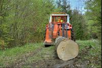 Holzbringung 12