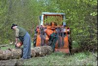 Holzbringung 6