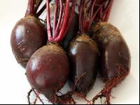 Rote Rübe 1