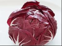 Radicchio 5