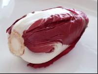Radicchio 4