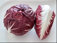 Radicchio 3