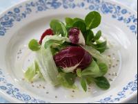 Blattsalate 3