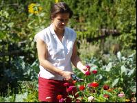 Blumen pflücken 3