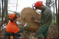 Eiche S Klammer 5