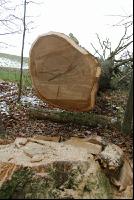 Eiche Zuschnitt 4