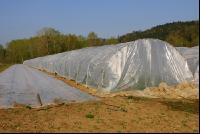 Erdbeer Folientunnel 1