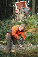 Tannen Seilwinde 4