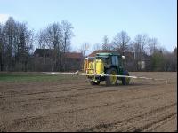 Erbsen Herbizid 2