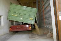 Gerste Ablieferung 8