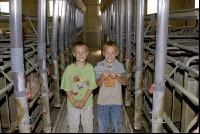 Kinder scherzen 1