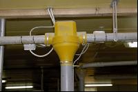 Sauen Ad libidum 24