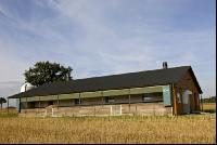 Schweinestall 1