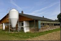 Schweinestall 2