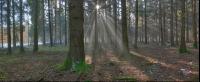 Lichtstrahlen 3