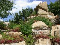 Steingarten 10