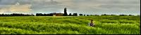Gerste Panorama 5