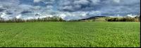Gerste Panorama 3