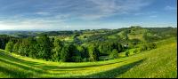 Nussbach