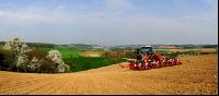 Mais Panorama 17