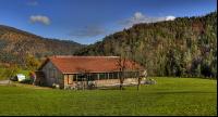 Rinderstall Panorma 2
