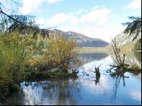 Almsee 11
