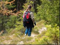 Wandern 8