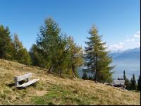 Pertinger Alm 5