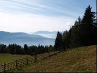 Pertinger Alm 7