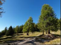 Dolomiten 11