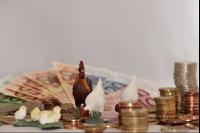 Finanzen Hühner 10
