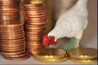 Finanzen Hühner 16