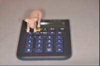 Finanzen Schweine 1