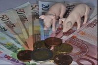 Finanzen Schweine 10