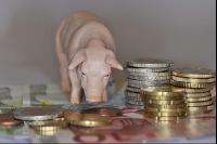 Finanzen Schweine 14