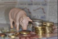 Finanzen Schweine 16