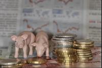 Finanzen Schweine 18