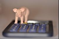 Finanzen Schweine 24