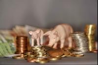 Finanzen Schweine 25