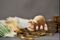 Finanzen Schweine 28