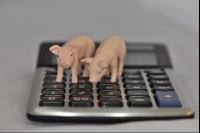 Finanzen Schweine 5