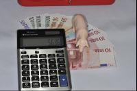 Finanzen Schweine 7