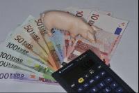 Finanzen Schweine 8