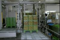 Eier Sortierung 11