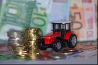 Investitionen  7