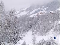 Schnee 4