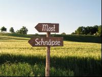 Mostheuriger Schild 2