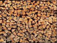 Brennholz 13