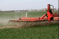 Striegel Getreide J 3