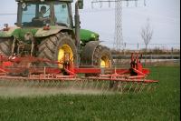 Striegel Getreide J 2